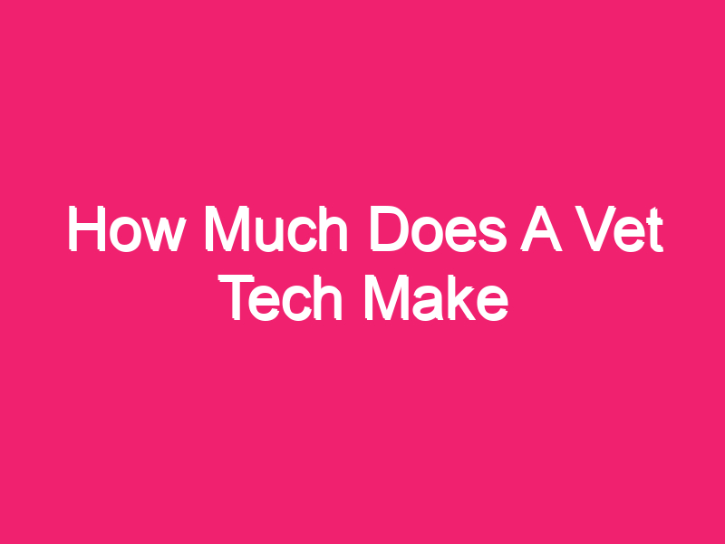 how-much-does-a-vet-tech-make-upward-times